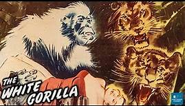 The White Gorilla (1945) | Adventure Film | Ray Corrigan, Lorraine Miller, George J. Lewis