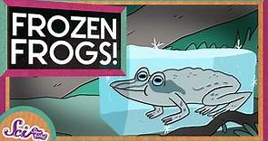 The Secret of Frozen Frogs! | Winter Science | SciShow Kids