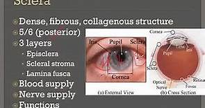 Sclera Eye Lectures