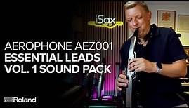 Roland Aerophone AEZ001 Essential Leads Vol. 1 Sound Examples