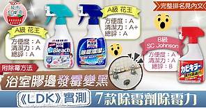 【超市大搜查】解決浴室膠邊發霉變黑現象　《LDK》實測7款除霉劑除霉力【附完整排名及除霉方法】 - 香港經濟日報 - TOPick - 健康 - 食用安全