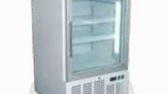 Celfrost Upright Freezer