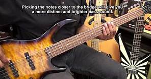Getting Started On The 5 String Electric Bass Guitar Lesson #1 @EricBlackmonGuitar FIRST