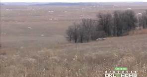 Joseph H. Williams Tallgrass Prairie Preserve