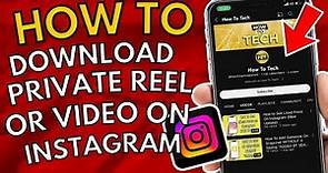 How To Download Private Video/Reels From Instagram