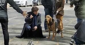 Filming With The Dog | Sherlock