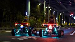 MariCar: Tour Tokyo's streets in a go-kart