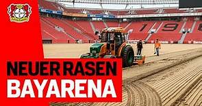 Neu in 5 Tagen: So kommt der neue Rasen ins Stadion | Doku über den Rasentausch in der BayArena
