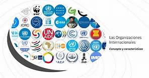 Las Organizaciones Intergubernamentales y la Organización de las Naciones Unidas