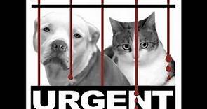 Urgent Pets On Death Row - The Story