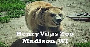 Henry Vilas Zoo – Madison, WI: Wandering Walks of Wonder Walking Tour 4K