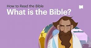 What is the Bible? [Animated Explainer]