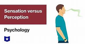 Sensation versus Perception | Psychology