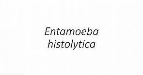 Entamoeba histolytica - Parasitology