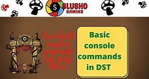 Basic console commands in don't starve together (DST)