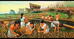 Historia y origen de la Agricultura - TvAgro por Juan Gonzalo Angel