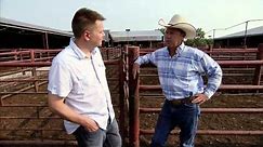 Cattle Sale Barn - America's Heartland