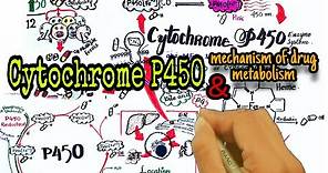 Cytochrome P450 drug metabolism - Pharmacology | mechanism of CYP drug metabolism