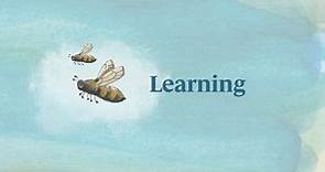 Bedales School - Learning