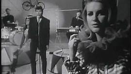The Animals - Bring It On Home To Me (Live, 1965) UPGRADE ♫♥