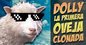 LA PRIMERA OVEJA CLONADA | La espectacular historia de Dolly la oveja