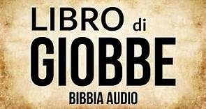 18 - Libro di Giobbe (BIBBIA ITALIANA IN AUDIO)