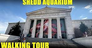 Shedd Aquarium Chicago - Walking Tour - Full Walkthrough - 4K