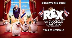 Rex - Un cucciolo a palazzo. Teaser Trailer Italiano [HD]