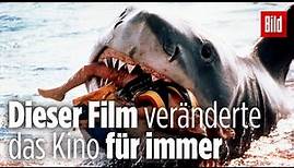 Der Sommer, als Steven Spielberg den Blockbuster erfand | 45 Jahre „Der Weiße Hai“