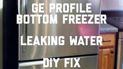 ✨ GE Profile Bottom Freezer Leaking — ( EASY FIX ) ✨