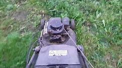 Over 30 years old Briggs Stratton Classic engine lawnmower what does it look like?