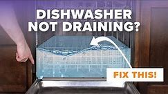 Frustrated with a dishwasher that WON'T DRAIN? Here's everything you need to check!