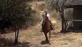 Tall Man Riding (Lesley Selander, 1955)