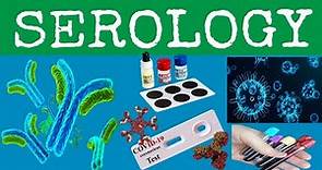 What is serology?medical serology .medical laboratory .learn.