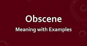 Obscene Meaning with Examples