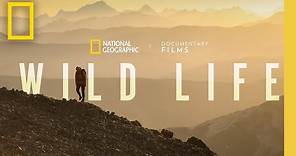 Wild Life | Official Trailer | National Geographic