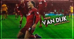 Virgil Van Dijk 2019 ▬ MasterClass ● Tackles, Defensive Skills & Goals - HD