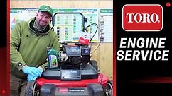How to service a Briggs & Stratton engine - Toro Timemaster 1000 lawnmower tutorial