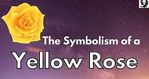 Symbolism of a Yellow Rose - Rose Color Meanings