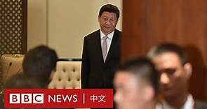 中共二十大：習式「大國外交」十年的跌宕起伏－ BBC News 中文
