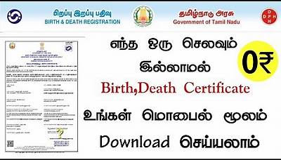 How To Download Birth, Death Certificate Online In Tamilnadu