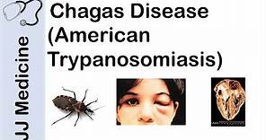 Chagas Disease | American Trypanosomiasis | Causes, Symptoms and Treatment