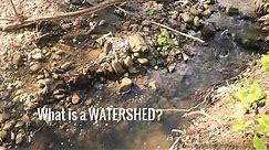Virtual River - What Is A Watershed?