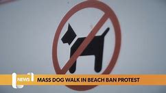 Wales headlines 11 September: Two men arrested on suspicion of murder, mass dog walk protest...