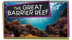 Check Out the Great Barrier Reef!