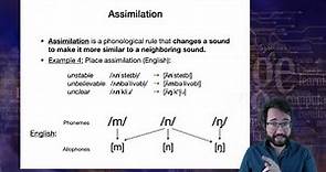 Introduction to Linguistics: Phonology 3
