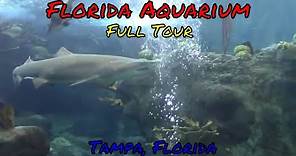 Florida Aquarium Full Tour - Tampa, Florida