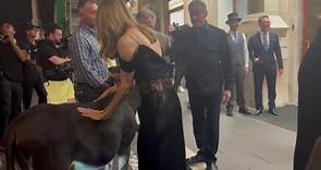 Sylvester Stallone e l'asinello emozionato, l'incontro a Roma e Jennifer Flavin ferma le auto