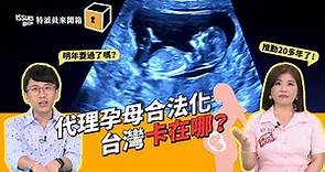 ISSUES BOX 特派員來開箱｜EP.14 代理孕母合法化，台灣卡在哪？｜公視 20231121