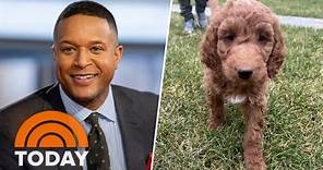 TODAY's Craig Melvin welcomes a new puppy into the family